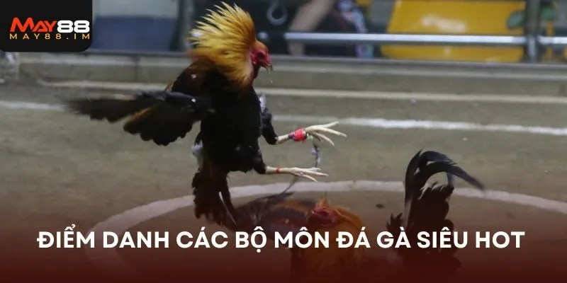 Điểm danh các bộ môn đá gà MAY88 siêu hot